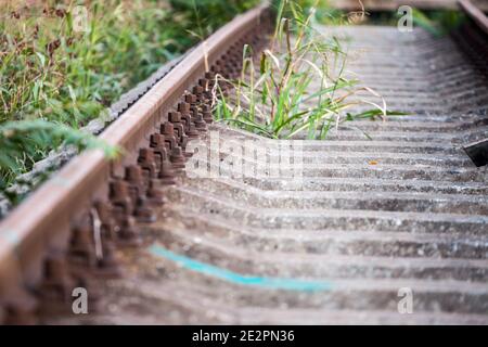 Betonschläfer auf einer alten Eisenbahnstrecke mit Unkraut und Gras auf einer verlassenen Linie für Fracht-und Personenverkehr verwendet. Bild von Stockfoto