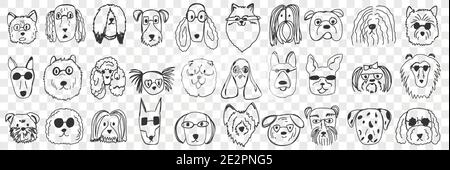 Hunde Gesichter Doodle Set. Sammlung von Hand gezeichnet lustige nette Gesichter von Hunden Haustiere verschiedener Rassen und Pelzstile isoliert auf transparentem Hintergrund. Illustration von Hunden Rassen für Kinder Stock Vektor