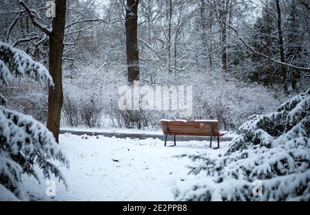 Winterszene mit einer Holzbank im Park Stockfoto