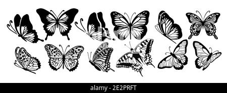Set Graphic fliegende schwarze und weiße Schmetterlinge. Vektorgrafik. Tropischer Schmetterling auf weißem Hintergrund Stock Vektor