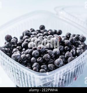 Nahaufnahme von frischen Heidelbeeren in Plastikbox gefroren und Ready to Eat - Bio-Lebensmittel gesunde Ernährung Konzept Stockfoto