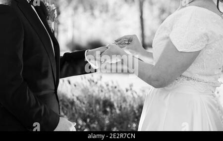 Braut und Bräutigam Ringe austauschen Stockfoto