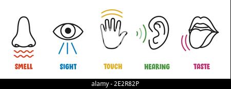Fünf Sinne Konzept Mit Menschlichen Organen Stock Vektor