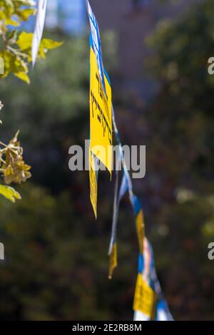 Werbung für die Bürgermeisterwahl in Jerusalem, hängt an einem Baum. Stockfoto