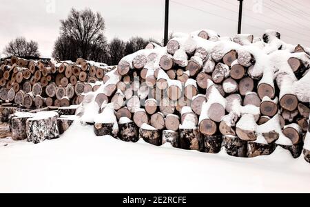 Das Holz, das in Baumstämme geschnitten wird, wird auf weißem Schnee gestapelt. Selektiver Fokus Stockfoto