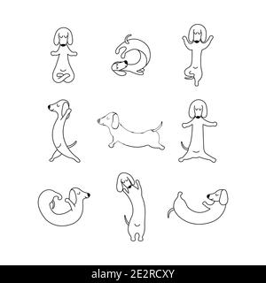 Dachshund praktiziert Yoga und meditiert. Set Yoga Hund, Entspannung und Sport. Verschiedene Posen für das Training. Vektor isoliert Doodle Illustration. Hand d Stock Vektor