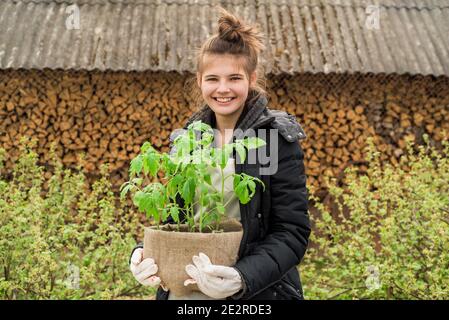 Nettes glückliches Mädchen Farmer hält eine große Box mit Pflanzen in ihren Händen. Setzlinge von Tomaten. Pflege, peking und Pfropfen von Pflanzen in den Boden Stockfoto