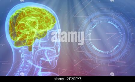 Röntgenbild des menschlichen Kopfes mit hervorgehobenes Gehirn und leerem Raum Auf der rechten Seite für Ihr Bild - digital Medical 3D Abbildung Stockfoto
