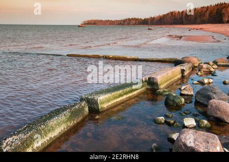 Kaputter Betonsteg mit Algen bedeckt ist in einer flachen Wasser an der Küste des Finnischen Meerbusens Stockfoto