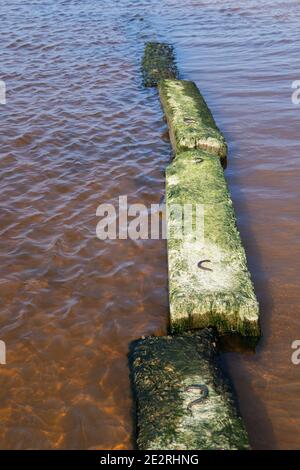 Kaputte Betonpier-Blöcke mit Algen Erz auf der bedeckt Küste des Finnischen Meerbusens Stockfoto