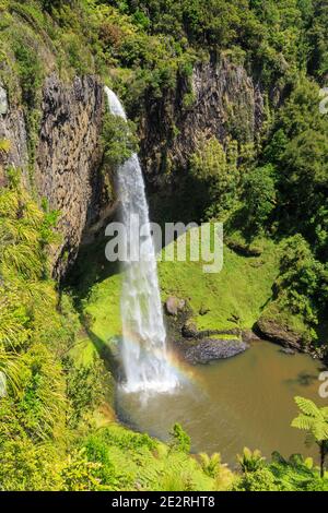 Bridal Veil Falls in der Waikato Region, Neuseeland, auch bekannt als Waireiga in Maori. Es stürzt 180 Meter über einer Klippe Stockfoto