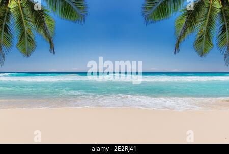 Tropischer Strand mit weißem Sand, tropischem Meer und Palmen. Stockfoto