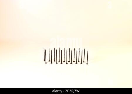 Selbstschneidende Schrauben für Holzoberflächen, stehend auf Hüten, auf hellem Hintergrund. Komponenten für Konstruktion und Reparatur. Metallbefestigungen. Stockfoto
