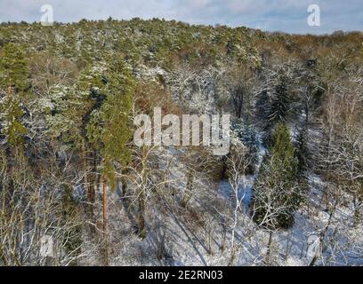 Chorin, Deutschland. Januar 2021. Das schneebedeckte Kloster Chorin