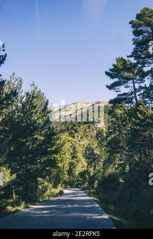 Grüne Landschaft mit vielen Bäumen und Sträuchern irgendwo in katalonien, spanien Stockfoto