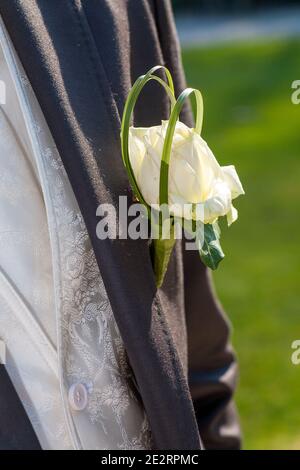 Weiße Rose als Boutonniere in einem dunklen Bräutigam Anzug Stockfoto