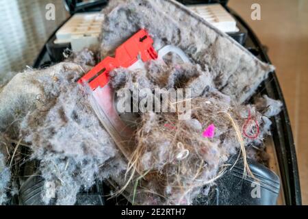 Explodierter staubbeutel des staubsaugers, der viel Schmutz erzeugt. Stockfoto