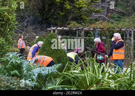 Mitglieder der Newquay in Bloom Partnerschaft Arbeiten in Trenance Garden in Newquay in Cornwall. Stockfoto