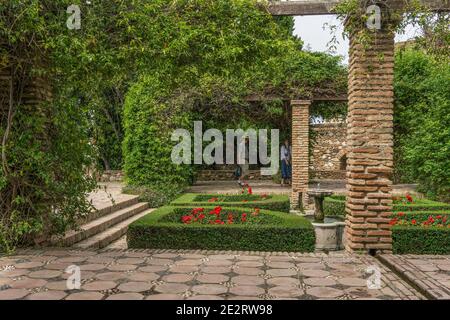 Interieur von Alcazaba de Malaga, eine historische Festung aus dem 11. Jahrhundert, in Malaga, Andalusien, Spanien Stockfoto