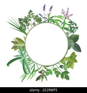 Rahmen mit frischen Kräutern und Gewürzen. Banner mit Blatt und Gras. Flache florale Dessin-Elemente. Vektorgrafik. Stock Vektor