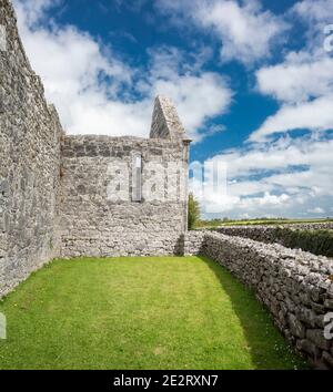 Zerstörte Gebäude und Steinmauern aus Karbon Kalkstein im 7. Jahrhundert Kilmacduagh Kloster in der Nähe von Gort, Grafschaft Galway, Irland Stockfoto