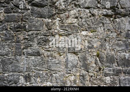 Eine Steinmauer eines historischen Gebäudes aus Karbon Kalkstein im 7. Jahrhundert Kilmacduagh Kloster in der Nähe von Gort, Grafschaft Galway Stockfoto