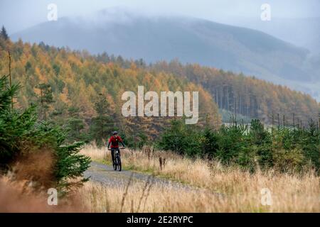 Ein Mann fährt mit einem elektrischen Mountainbike bergauf in der Nähe der Stadt Innerleithen in den Scottish Borders. EBike Scotland. Stockfoto