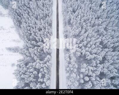 Winter Nadelwald mit einer schwarzen Asphaltstraße. Naturfotografie. Landschaftsansicht von oben aus der Vogelperspektive Stockfoto