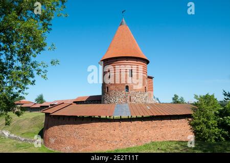 Kaunas Castle, Kaunas, Litauen Stockfoto