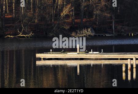 Normalerweise gibt es viele Möwen auf dem Steg - nur eine Möwe war dort an diesem Tag. Ein windloser Tag mit interessanten Reflexionen. Dieksee, Malente. Stockfoto