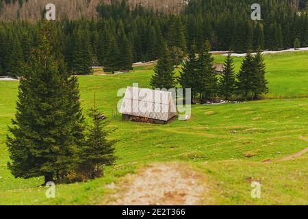 Shepherd's Hütte Unterstand auf Wiese. Highlander Holzhütte in Zakopane (Polen). Traditionelle Holzhütte in der Tatra. Alte Schäferhütte in der Stockfoto