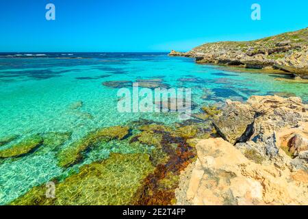 Rottnest Island, Westaustralien. Panoramablick von den Klippen über das tropische Riff der Little Salmon Bay, ein Paradies zum Schnorcheln, Schwimmen und Stockfoto