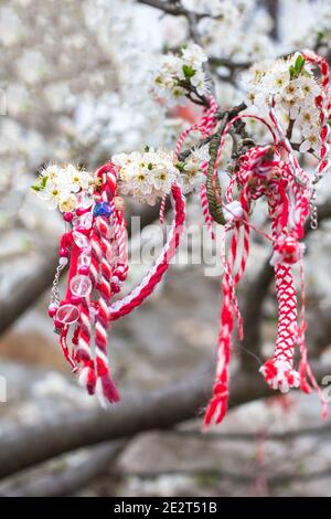 Weiße und rote bulgarische Martenitsa Armbänder, hängend auf dem Zweig der Frühlingsblüte Baum Stockfoto