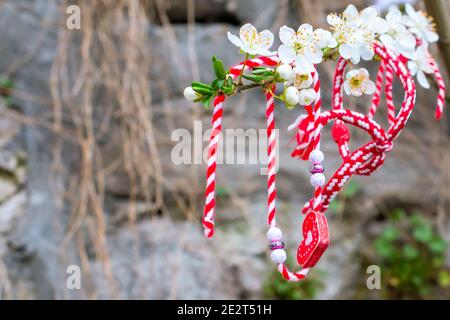 Weiße und rote bulgarische Martenitsa Armbänder, hängend auf dem Zweig der Frühlingsblüte Baum Stockfoto