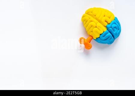 Ideenkonzept. Arbeit des Gehirns - Modell aus buntem Ton, Draufsicht Stockfoto