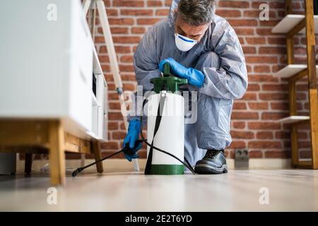 Schädlingsbekämpfung Exterminator Services Spraying Termite Insektizid Stockfoto