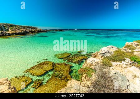 Tourismus in Perth. Rottnest Island, Westaustralien. Landschaftlich schöner Blick von den Rundungen über das tropische Riff im türkisblauen kristallklaren Meer von Little Salmon Bay, A Stockfoto