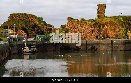 Dunbar Harbour, East Lothian, Schottland, Großbritannien, 15th. Januar 2021. Fischerei: Victoria Harbour, der Haupthafen der Stadt, ist leer mit einem einsamen Fischerboot mit ruinierten Dunbar Castle im Hintergrund Stockfoto