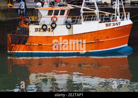 Pittenweem, Schottland, Großbritannien. 15. Januar 2021. Frische Meeresfrüchte, Krabben und Hummer landeten heute Morgen im Hafen von Pittenweem in Fife. Fischer Nick Irvine hat zwei Boote, die Muscheln, Garnelen, Samtkrabben, braune Krabben und Hummer fangen. Ein großer Teil seines Fisches wird nach Asien exportiert und ist zu dieser Zeit des Jahres wegen des bevorstehenden chinesischen Neujahrs beschäftigt, das Nachfrage und Preise erhöht. Dies hat dazu beigetragen, die Probleme bei der Ausfuhr in die EU aufgrund neuer Vorschriften auszugleichen. Bild; Blick auf Fischerboote im Hafen. Iain Masterton/Alamy Live News Stockfoto