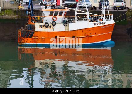 Pittenweem, Schottland, Großbritannien. 15. Januar 2021. Frische Meeresfrüchte, Krabben und Hummer landeten heute Morgen im Hafen von Pittenweem in Fife. Fischer Nick Irvine hat zwei Boote, die Muscheln, Garnelen, Samtkrabben, braune Krabben und Hummer fangen. Ein großer Teil seines Fisches wird nach Asien exportiert und ist zu dieser Zeit des Jahres wegen des bevorstehenden chinesischen Neujahrs beschäftigt, das Nachfrage und Preise erhöht. Dies hat dazu beigetragen, die Probleme bei der Ausfuhr in die EU aufgrund neuer Vorschriften auszugleichen. Bild; Blick auf Fischerboote im Hafen. Iain Masterton/Alamy Live News Stockfoto