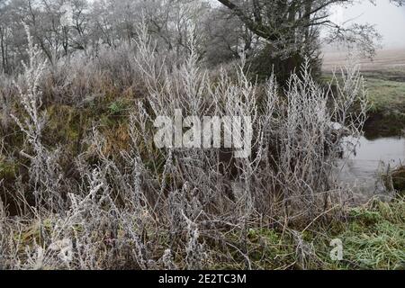 Landschaft Winterszene entlang Windle Brook Eccleston St Helens Merseyside Stockfoto