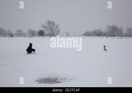 Lady wirft Schneebälle zu ihrem Jack Russell Terrier Hund auf einem Feld nach einem starken Schneefall in Yorkshire, England Stockfoto