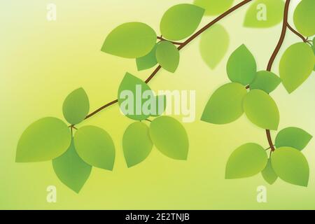 Vektor grüne Blätter auf Baum Zweig isoliert auf Sommer Hintergrund Stock Vektor
