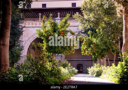 Hohe gotische Spitzbögen führen zum Kreuzgang der Kathedrale von Toledo in Toledo, Spanien. Stockfoto