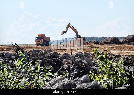 Arbeit an der Landesplanung - Boden und Sandkissen (Nivellierung von Untergraden) an der Stelle der Waldlichtung. Bau von großen industriellen Unternehmen. Dum Stockfoto