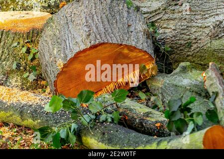 Wandern und genießen Sie die Landschaft in Dudley Stockfoto