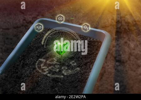 Kunststoffschale zum Pflanzen von Gemüse und Blumen mit Boden. Kompost, Anreicherungsboden. Junge Keimling der Topfpflanze wächst unter dem Einfluss von su Stockfoto