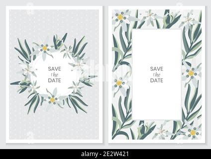 Edelweiss. Grußkarte, Einladung oder vertikales Banner mit Blumen aus Edelweiß. Vektorgrafik für Aktien. Stock Vektor