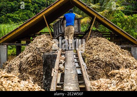 Ein Arbeiter in einem blauen Hemd schiebt den leeren Holzwagen zurück zur Presse zwischen zwei Haufen Bagasse, unter dem gelb-braunen Giebeldach der Ladeplattform der Antoine Rivers Rum Destillerie in La Poterie, Saint Patrick, Grenada. Stockfoto
