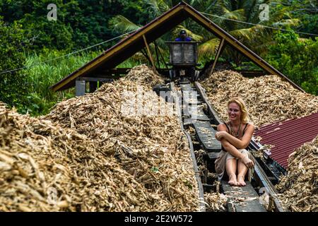 Antoine Flüsse Rum Distillery, Saint Patrick, Grenada Stockfoto